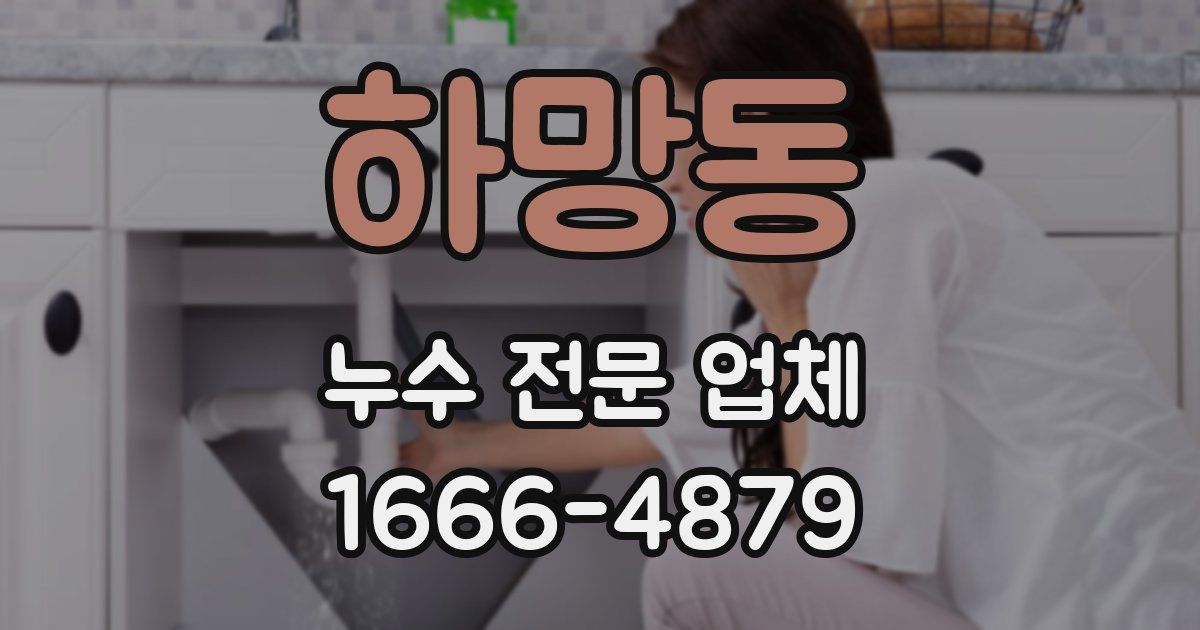 하망동 누수 전문 업체