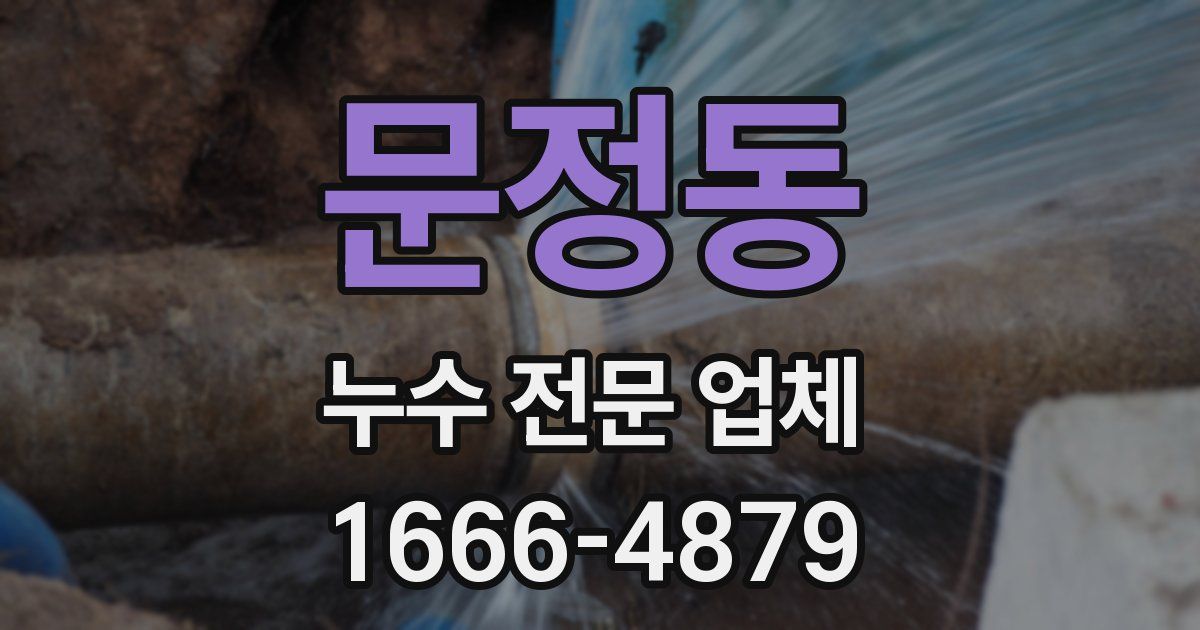 문정동 누수 전문 업체