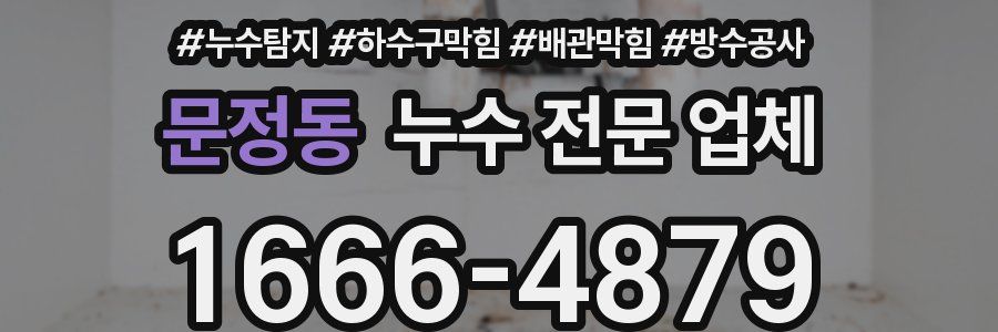 문정동 누수 전문 업체