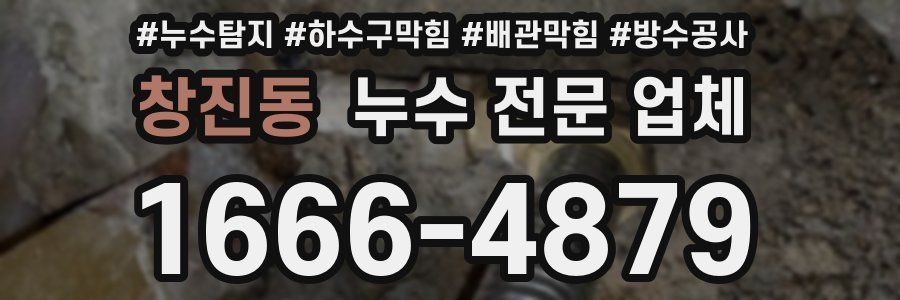 창진동 누수 전문 업체