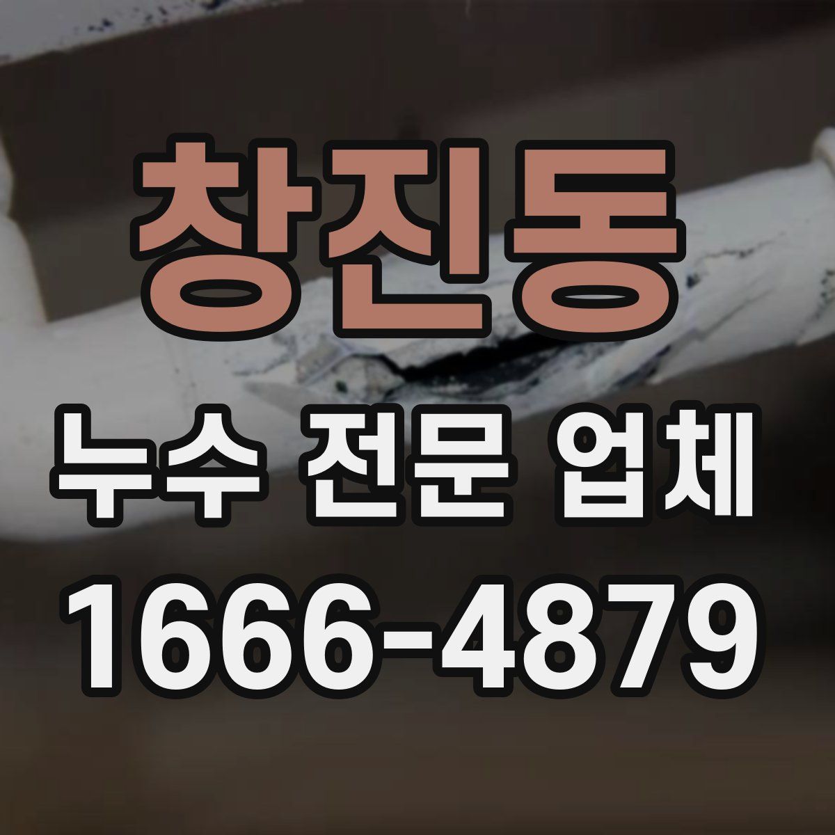 창진동 누수 전문 업체