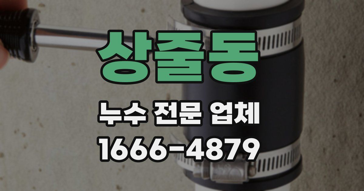 상줄동 누수 전문 업체