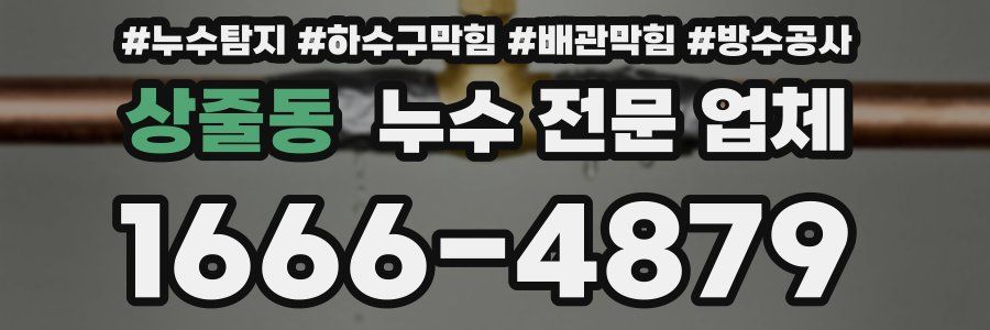 상줄동 누수 전문 업체