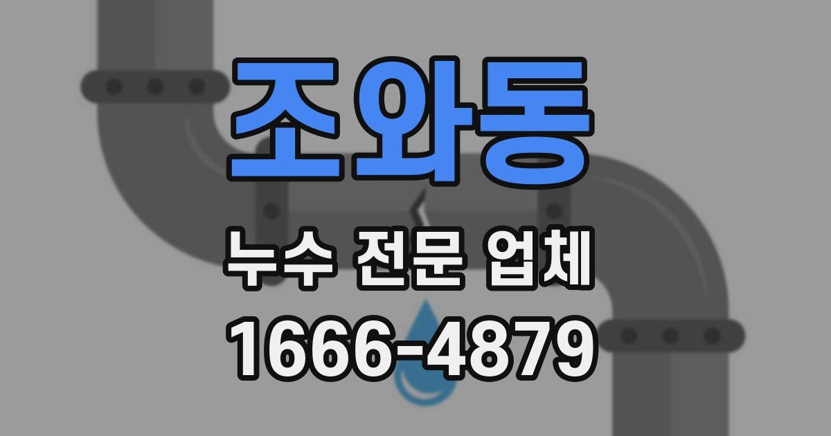 조와동 누수 전문 업체