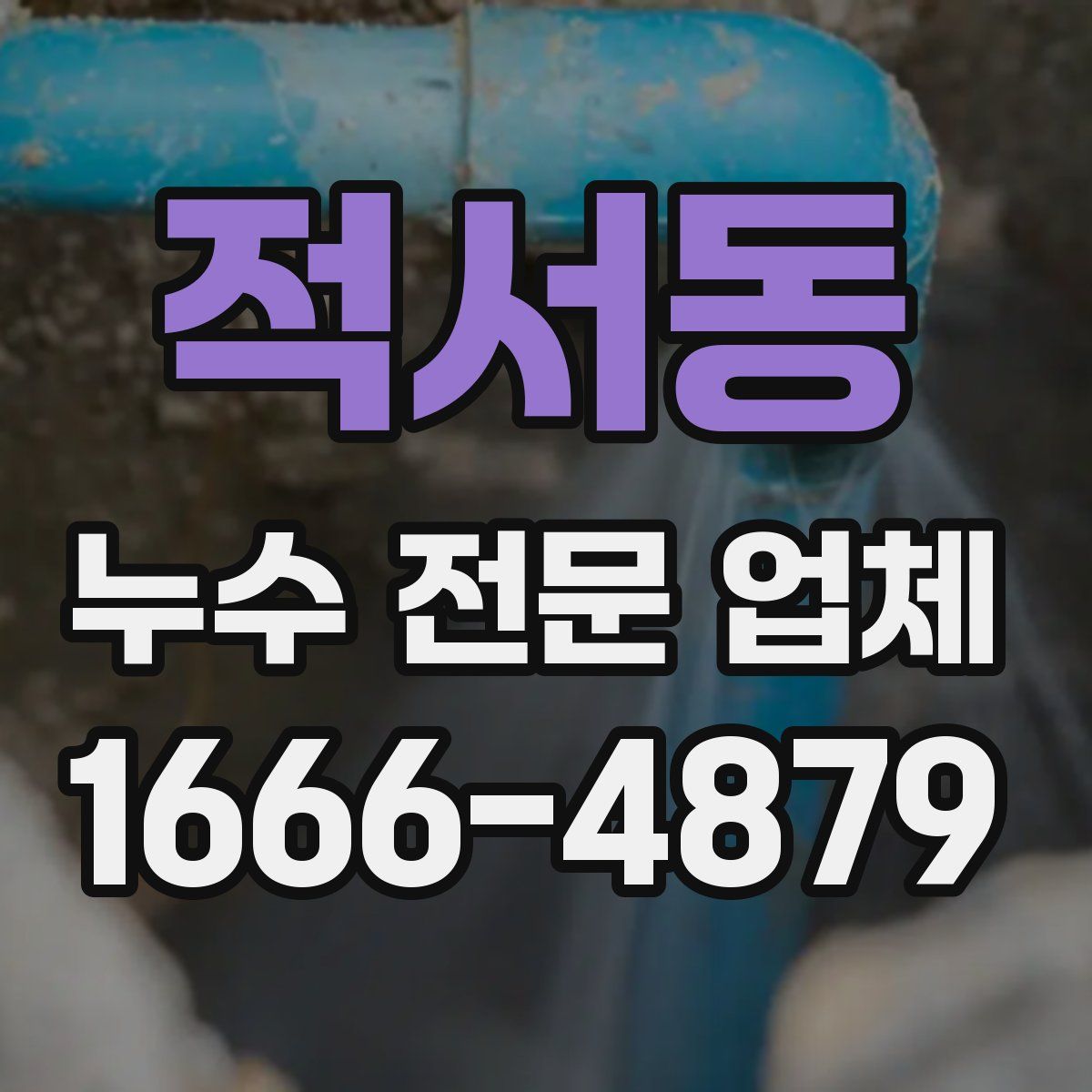 적서동 누수 전문 업체
