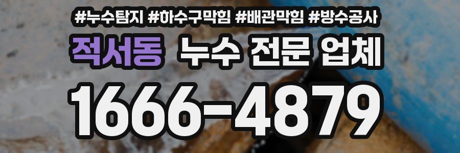 적서동 누수 전문 업체