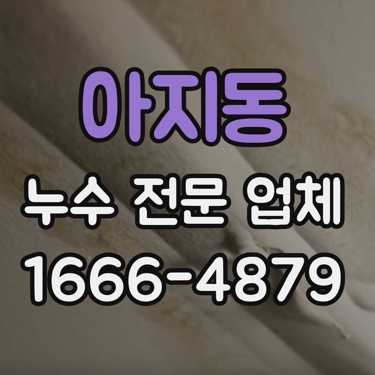 아지동 누수 전문 업체