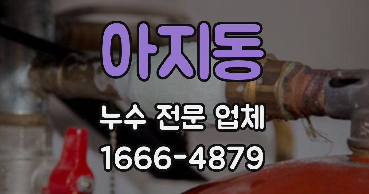 아지동 누수 전문 업체
