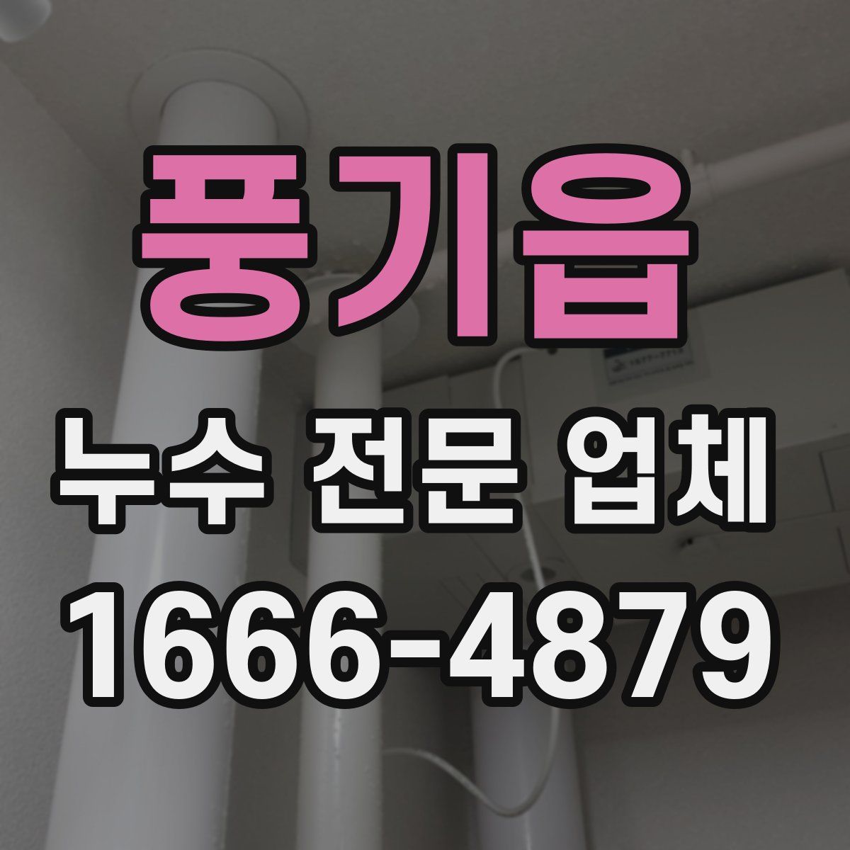 풍기읍 누수 전문 업체
