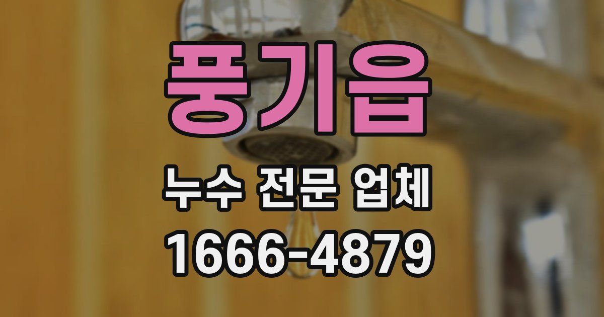 풍기읍 누수 전문 업체