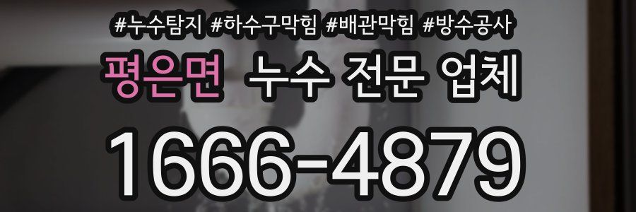 평은면 누수 전문 업체