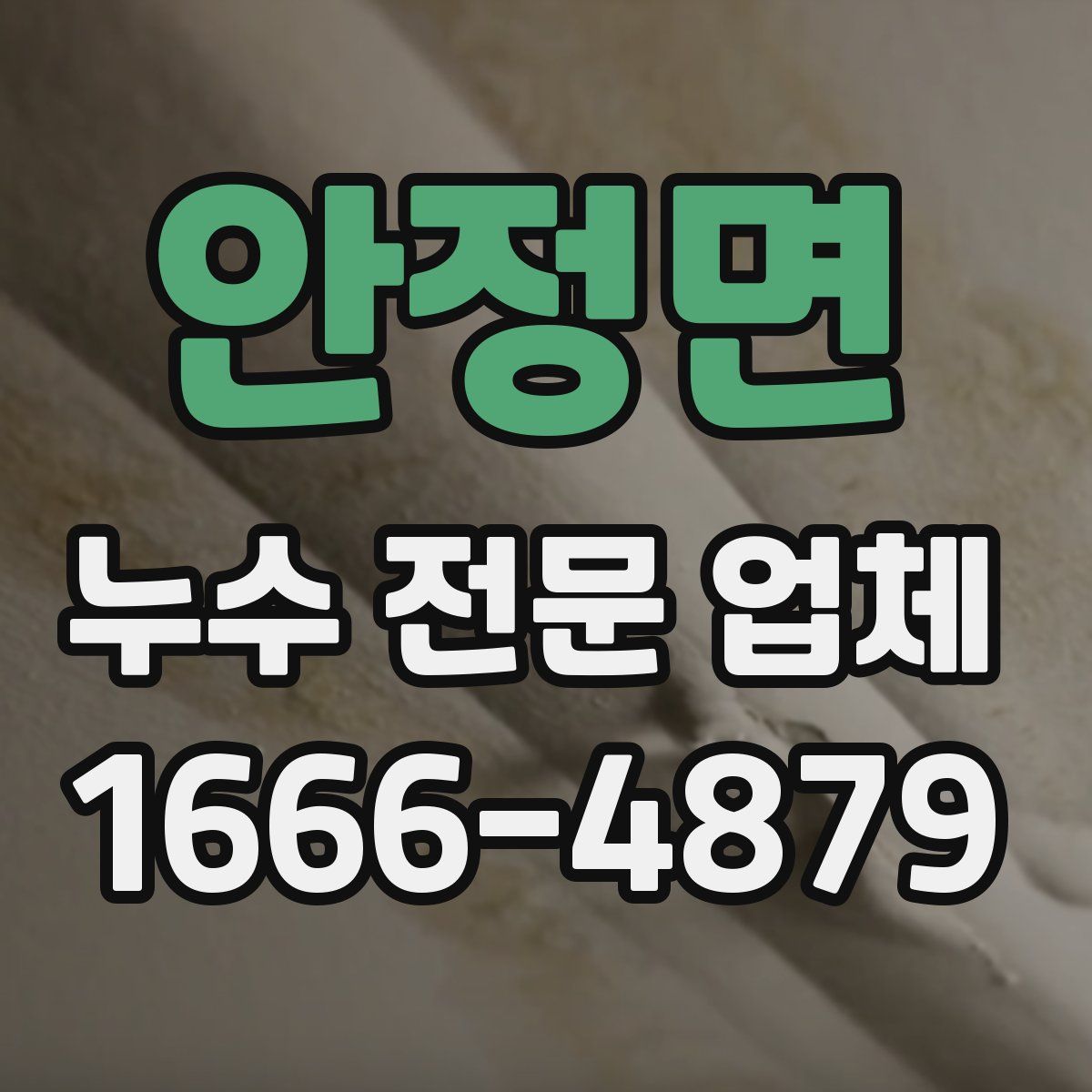 안정면 누수 전문 업체