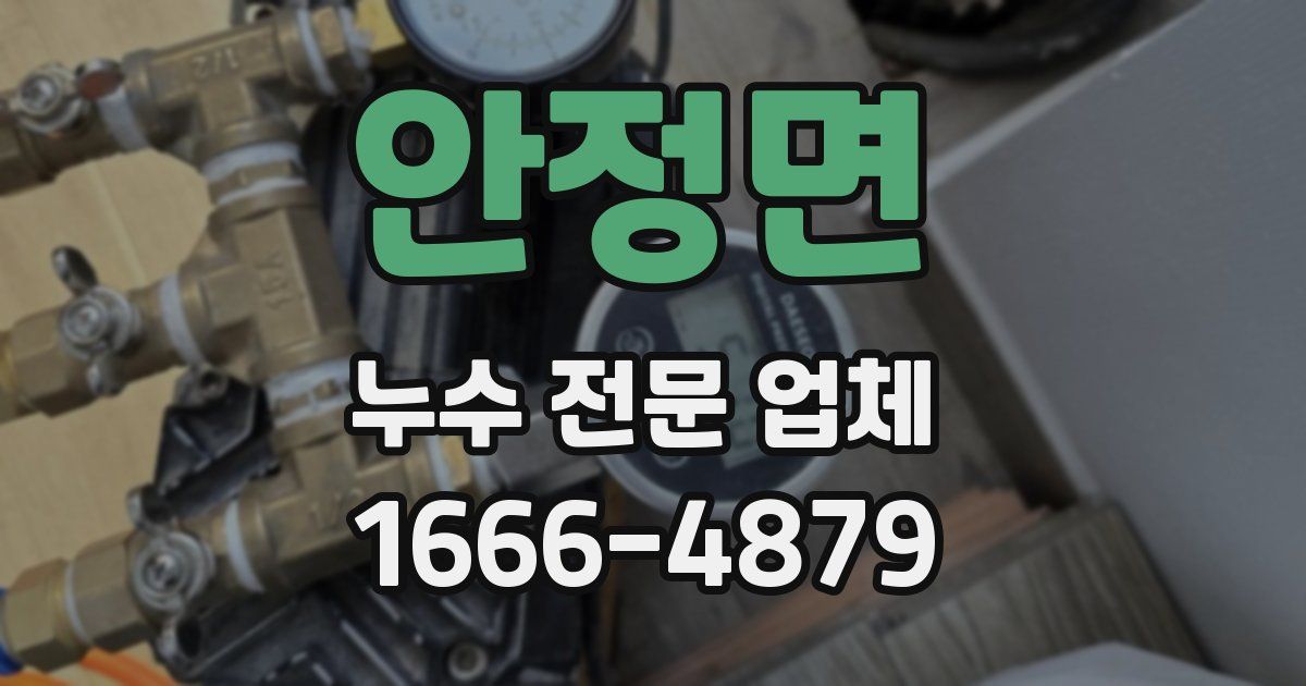 안정면 누수 전문 업체