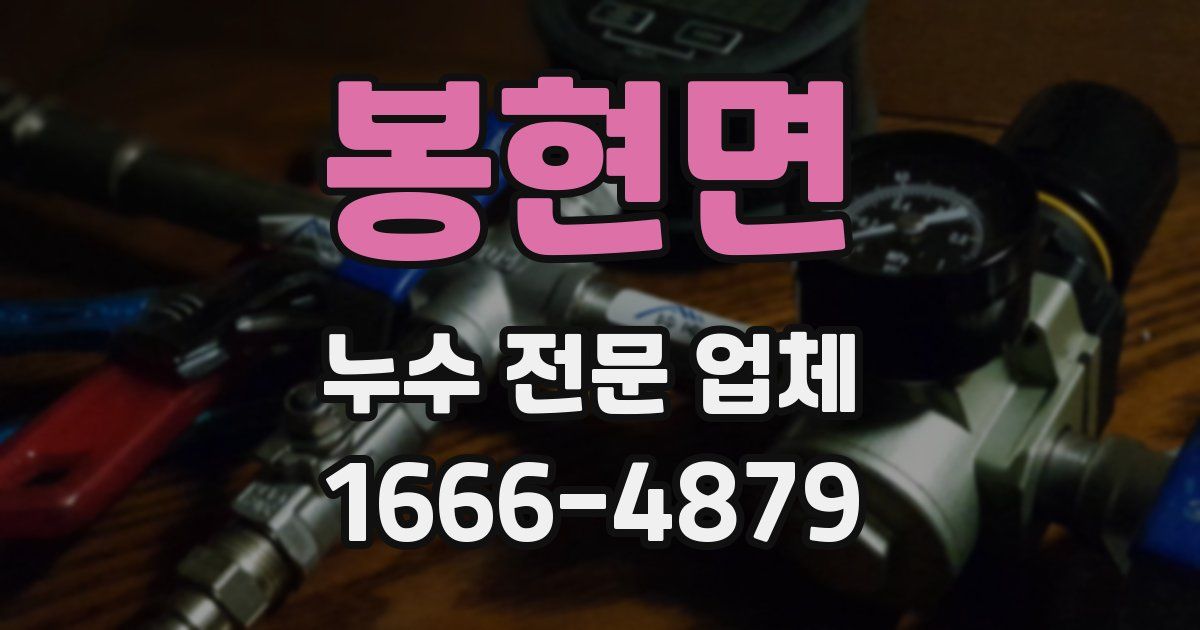 봉현면 누수 전문 업체