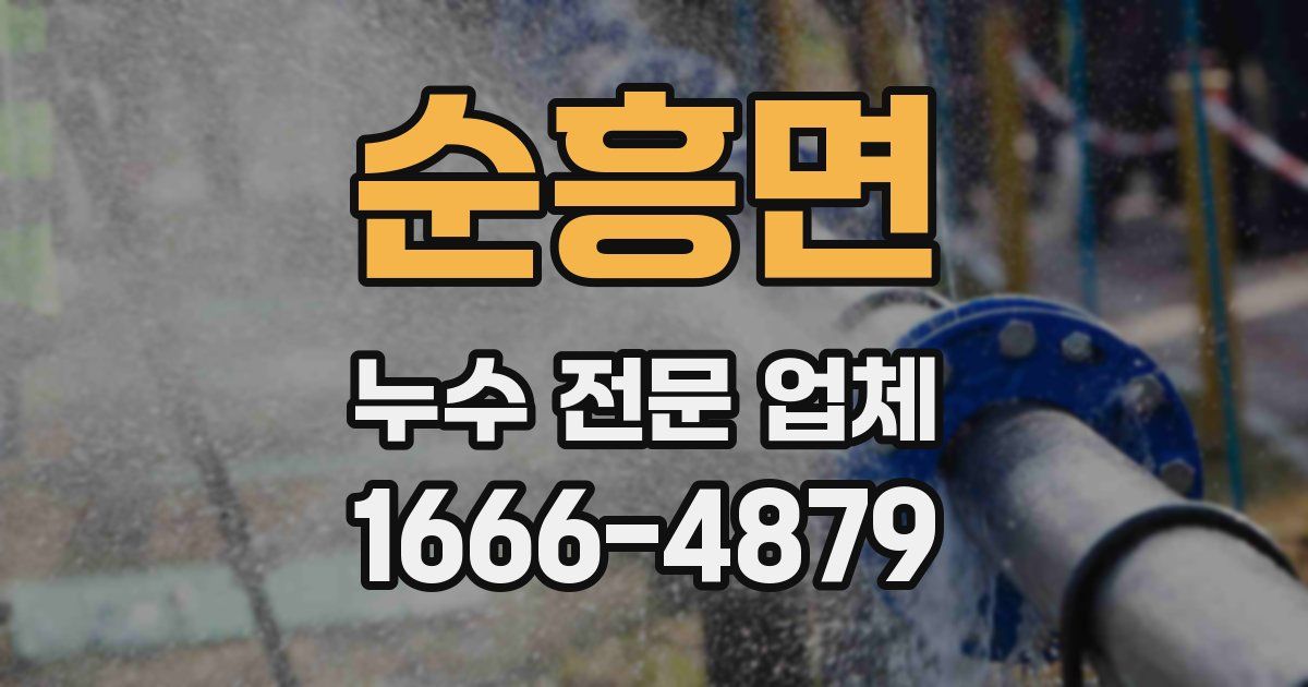 순흥면 누수 전문 업체