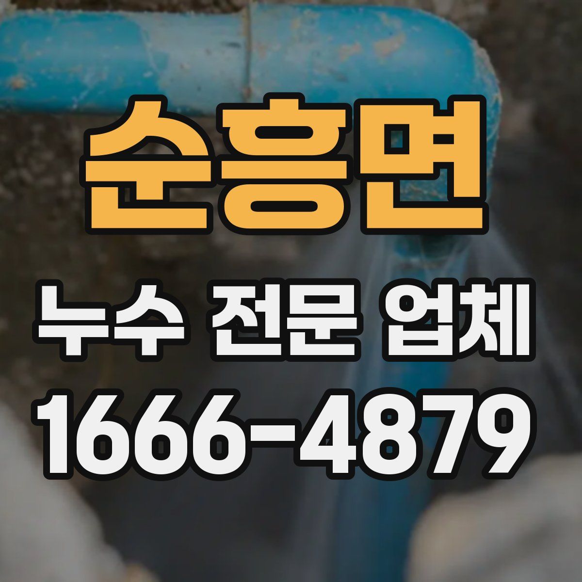 순흥면 누수 전문 업체