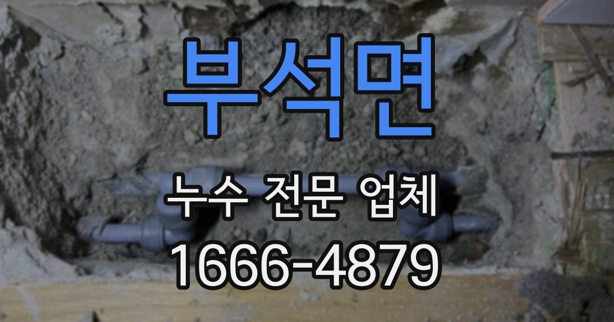 부석면 누수 전문 업체