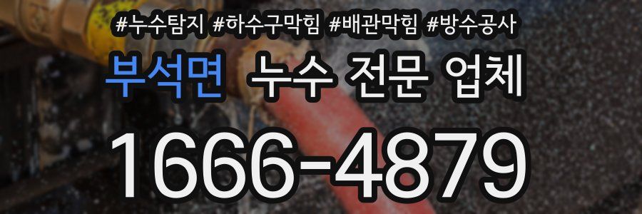 부석면 누수 전문 업체