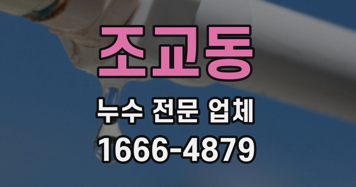 조교동 누수 전문 업체