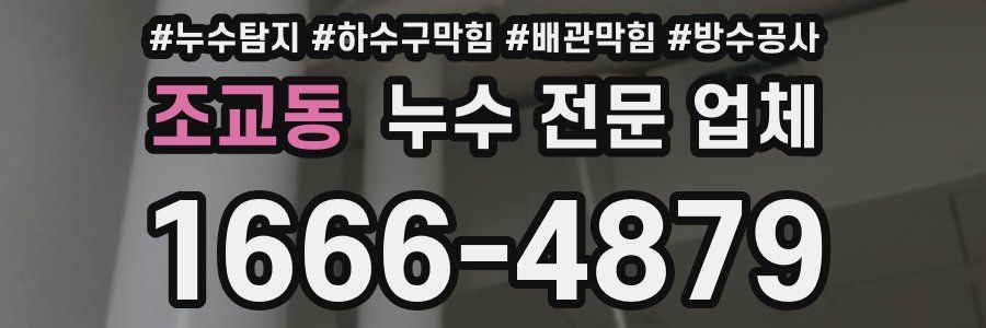 조교동 누수 전문 업체