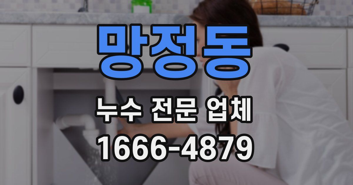 망정동 누수 전문 업체