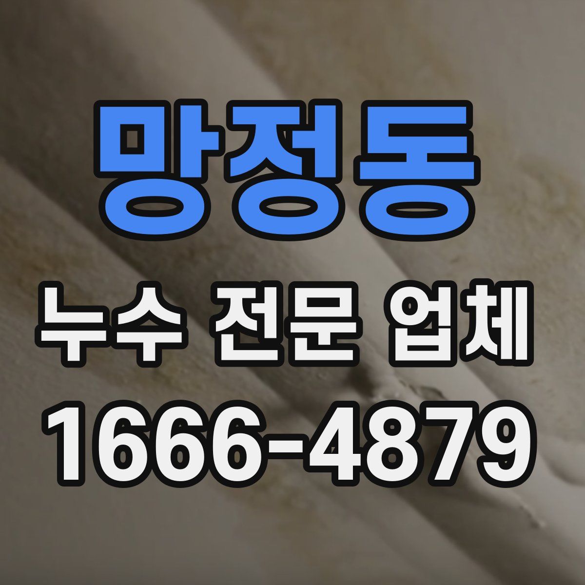 망정동 누수 전문 업체