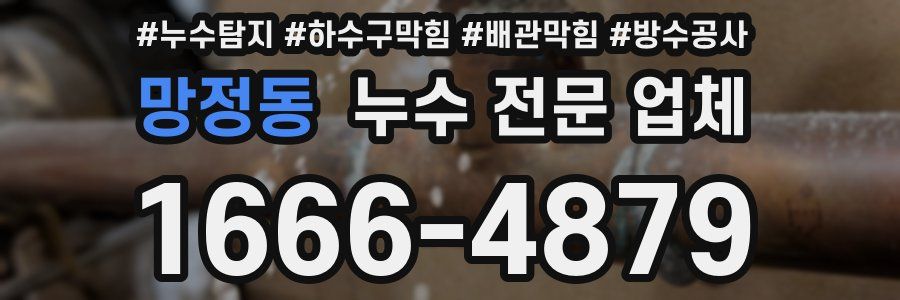망정동 누수 전문 업체