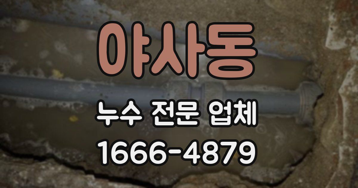 야사동 누수 전문 업체