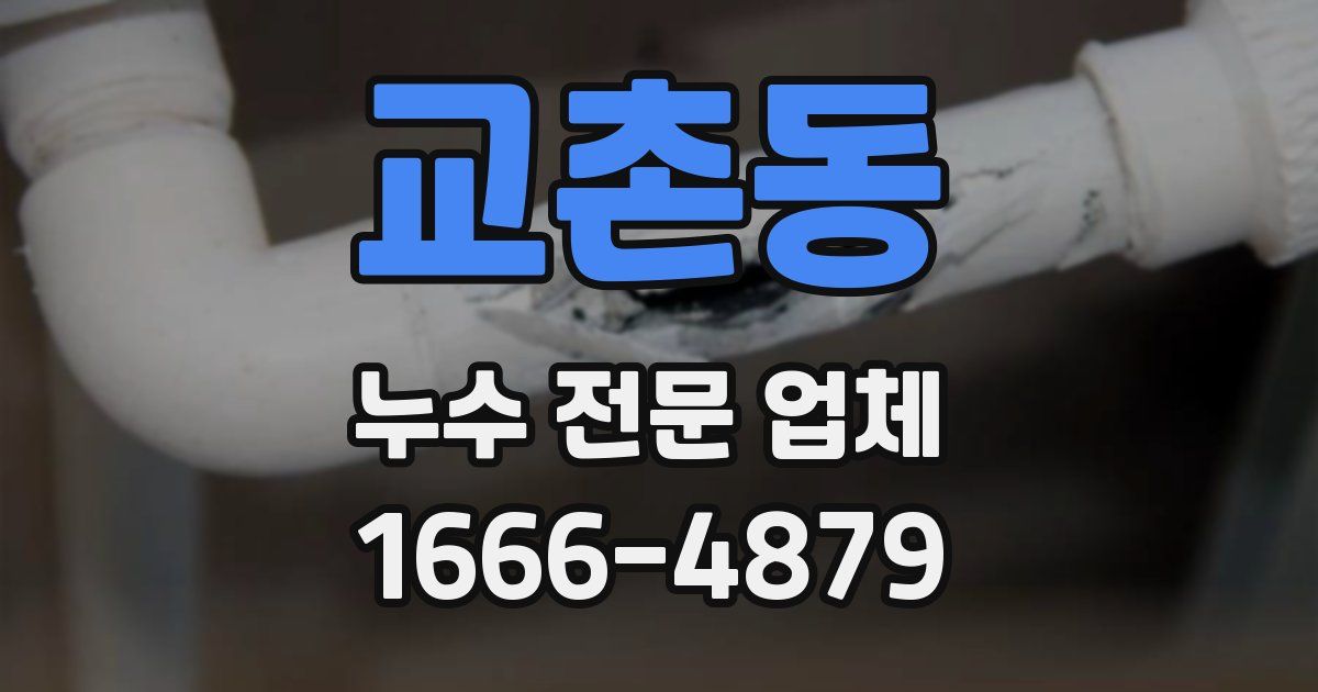 교촌동 누수 전문 업체