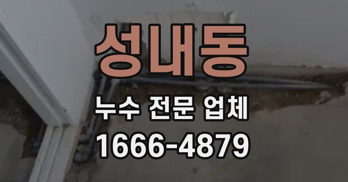 성내동 누수 전문 업체