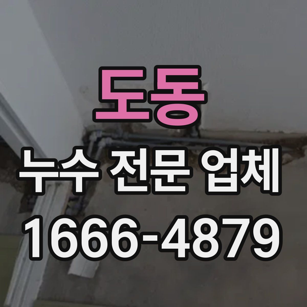 도동 누수 전문 업체