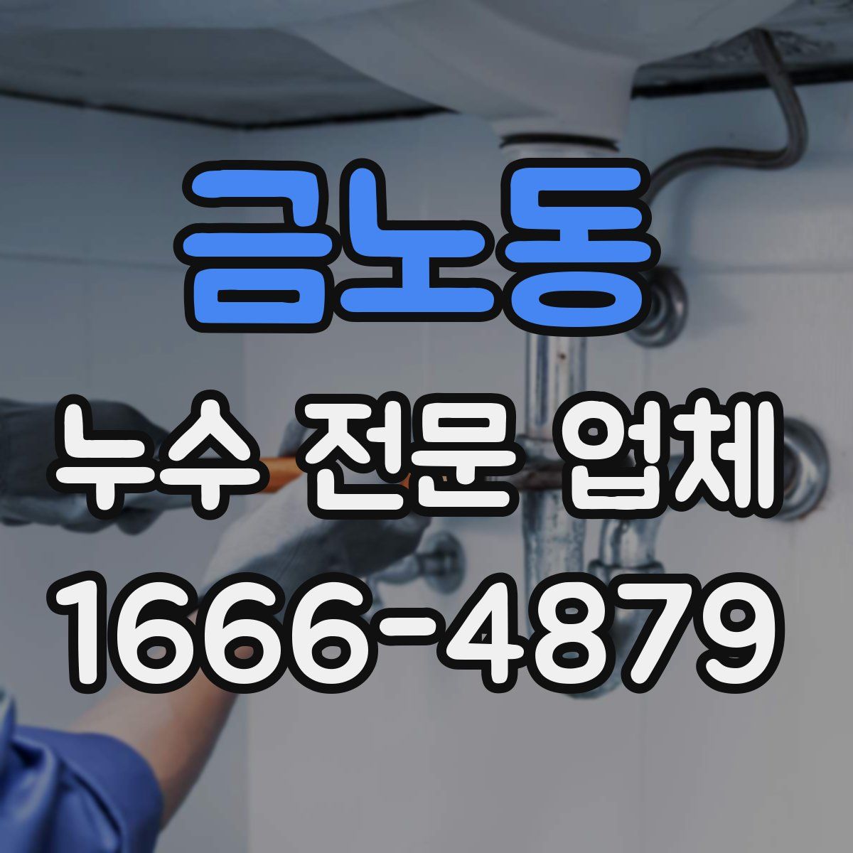 금노동 누수 전문 업체