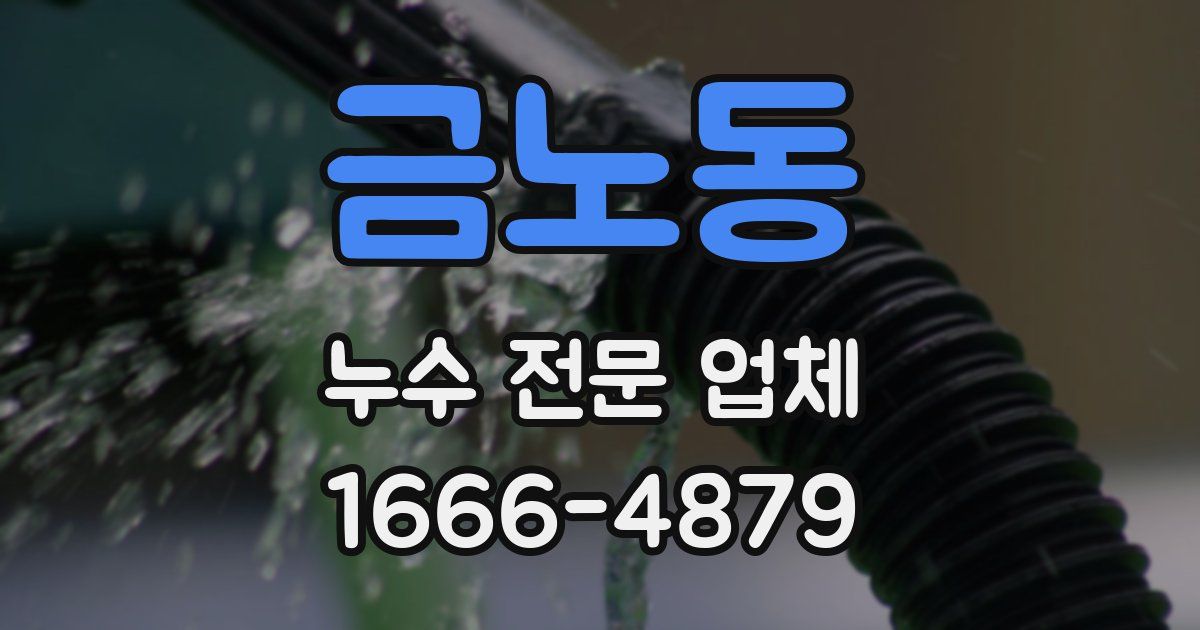 금노동 누수 전문 업체