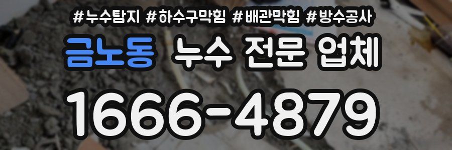 금노동 누수 전문 업체