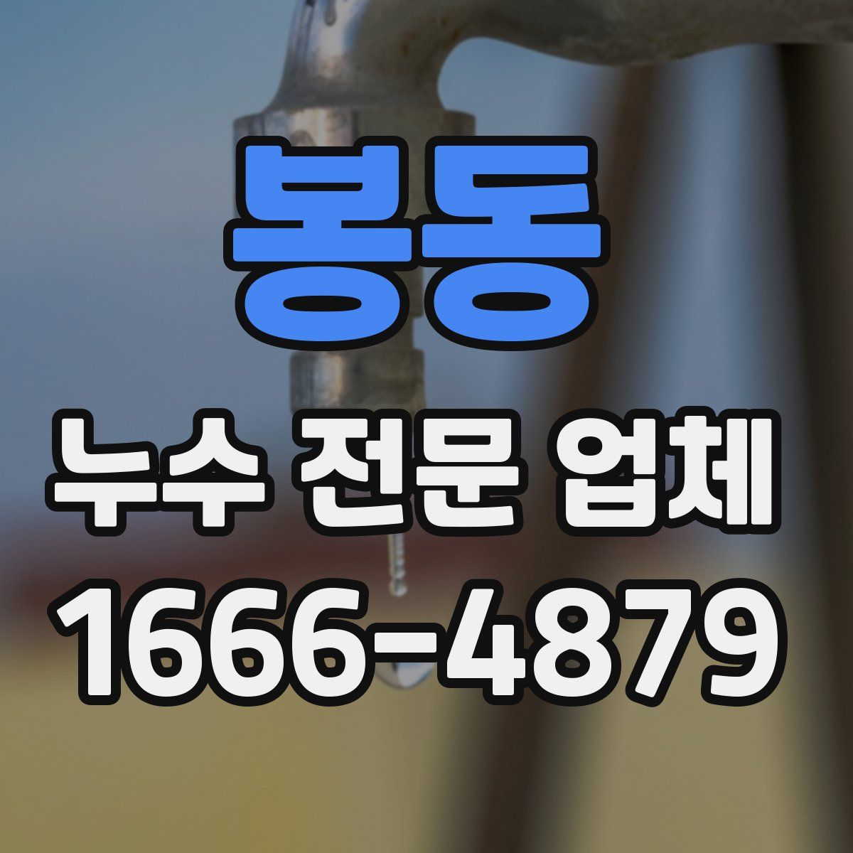 봉동 누수 전문 업체