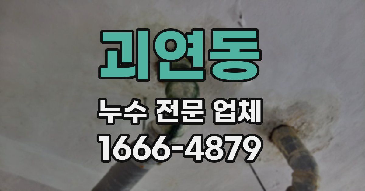 괴연동 누수 전문 업체