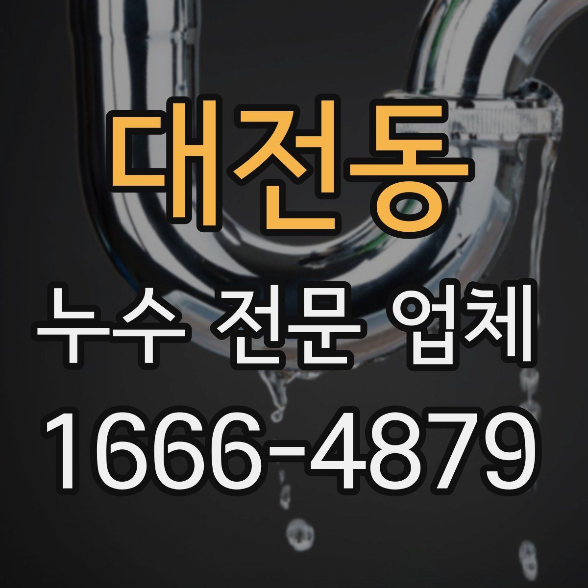 대전동 누수 전문 업체