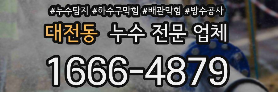 대전동 누수 전문 업체