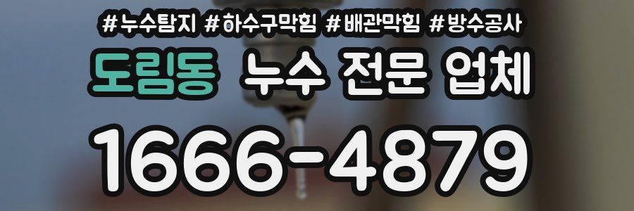 도림동 누수 전문 업체