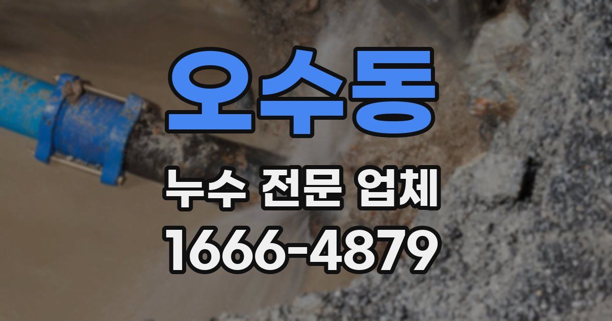오수동 누수 전문 업체