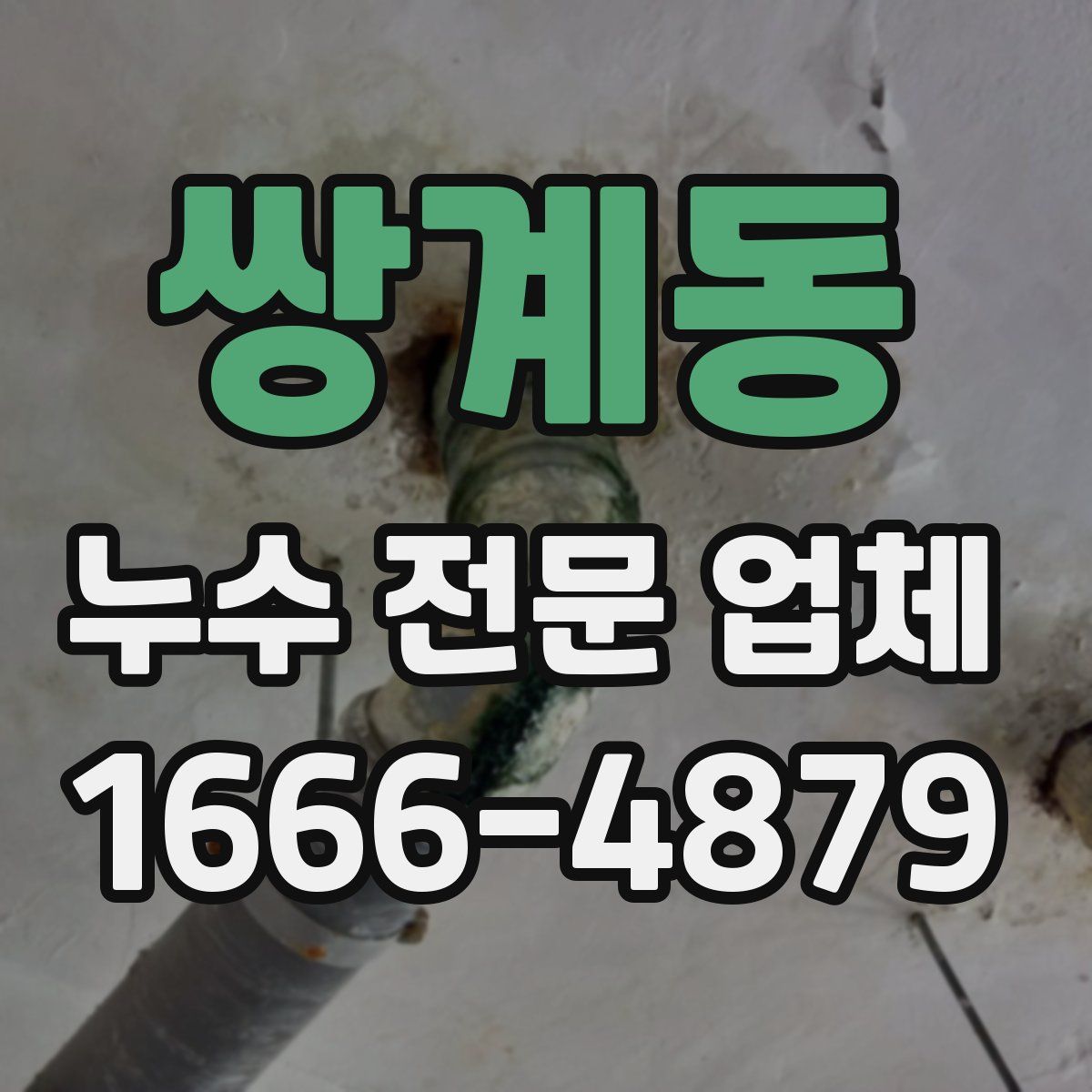 쌍계동 누수 전문 업체
