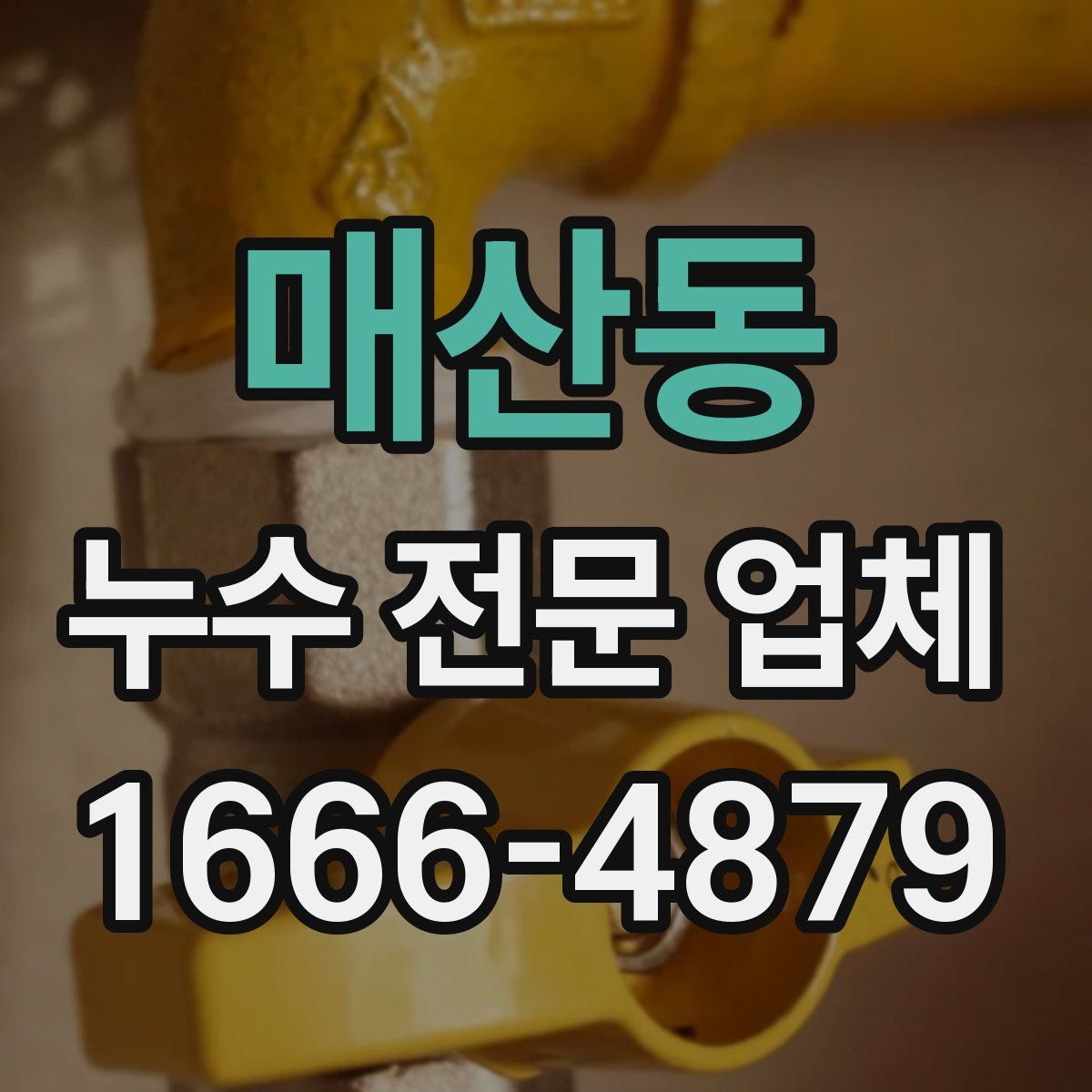매산동 누수 전문 업체