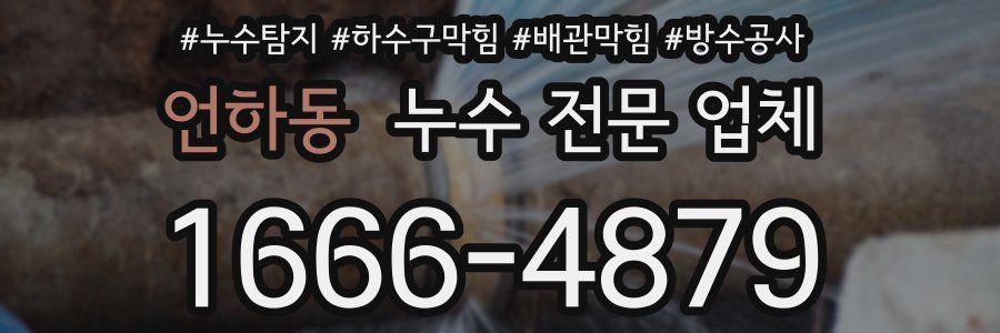 언하동 누수 전문 업체