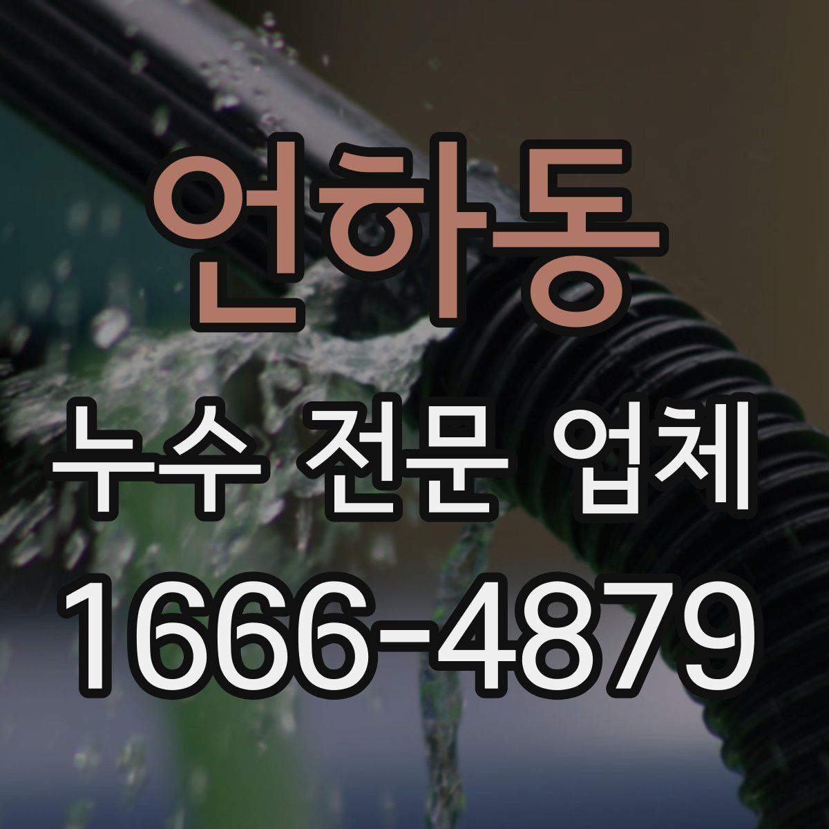 언하동 누수 전문 업체