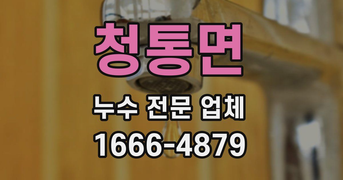 청통면 누수 전문 업체