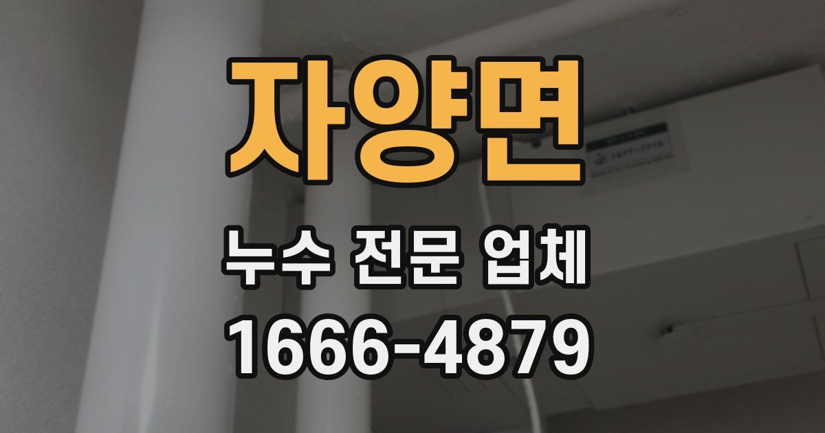 자양면 누수 전문 업체