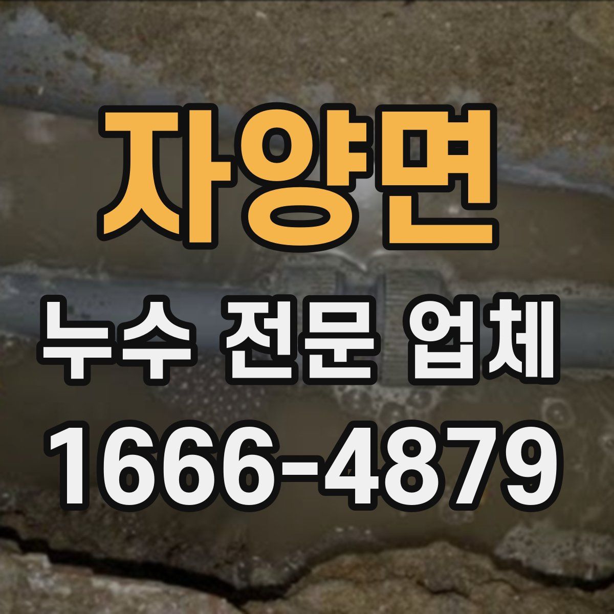 자양면 누수 전문 업체