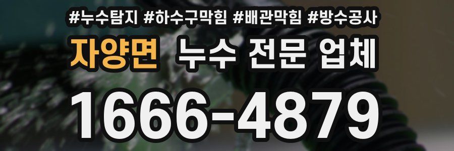 자양면 누수 전문 업체