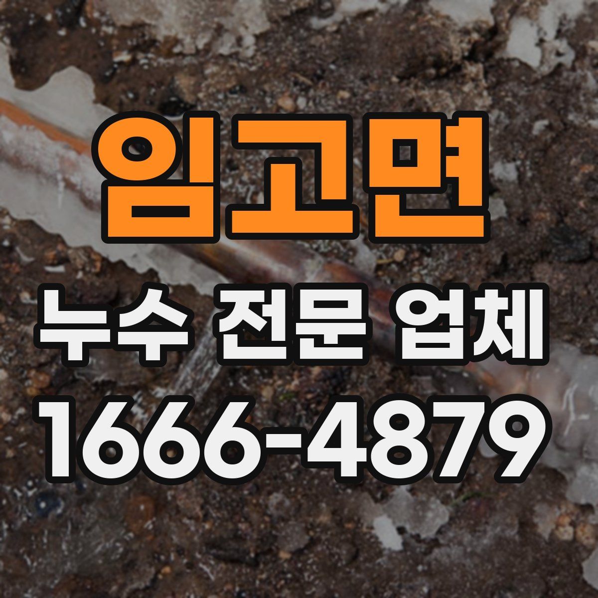 임고면 누수 전문 업체