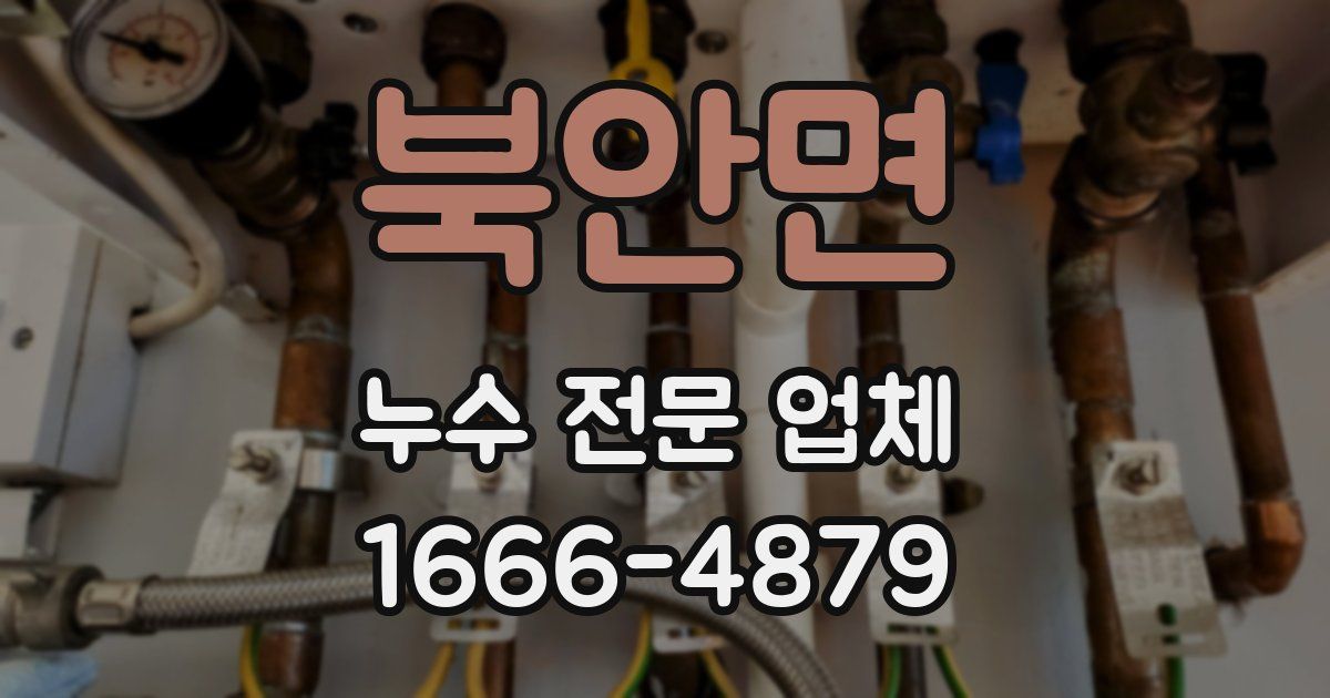 북안면 누수 전문 업체